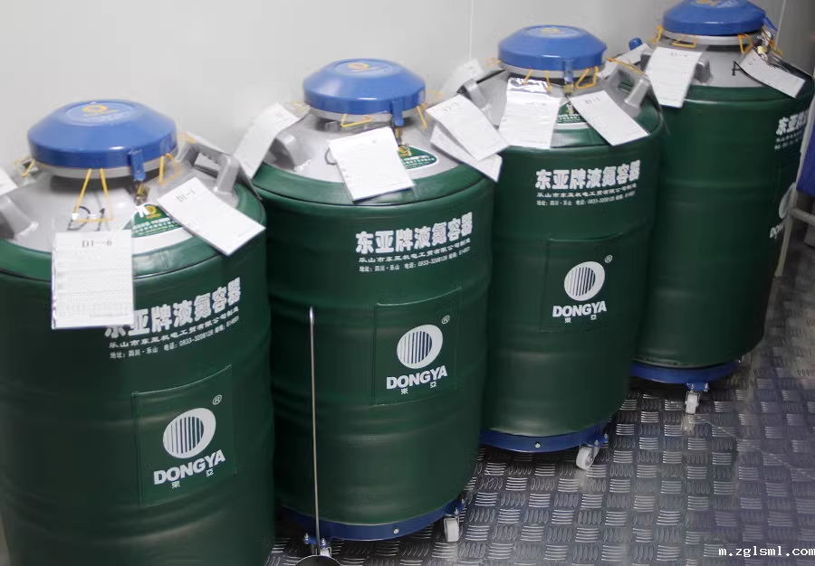 星空游戏网客户端