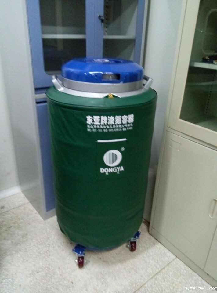 东亚大容积液氮罐