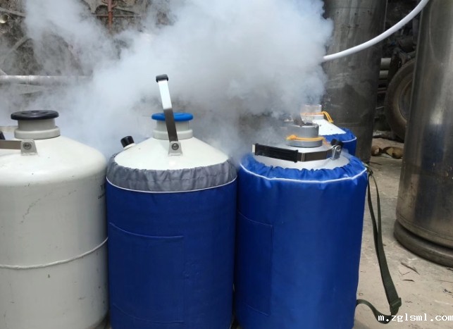 星空游戏网客户端