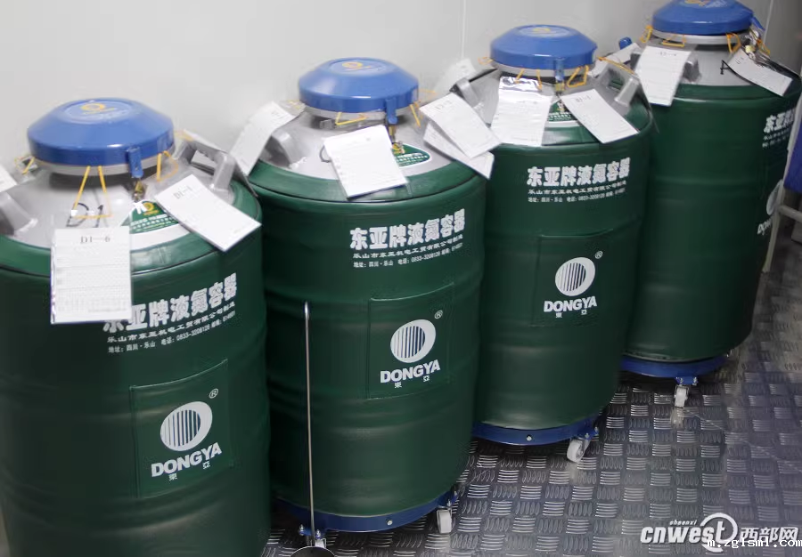 星空游戏网客户端