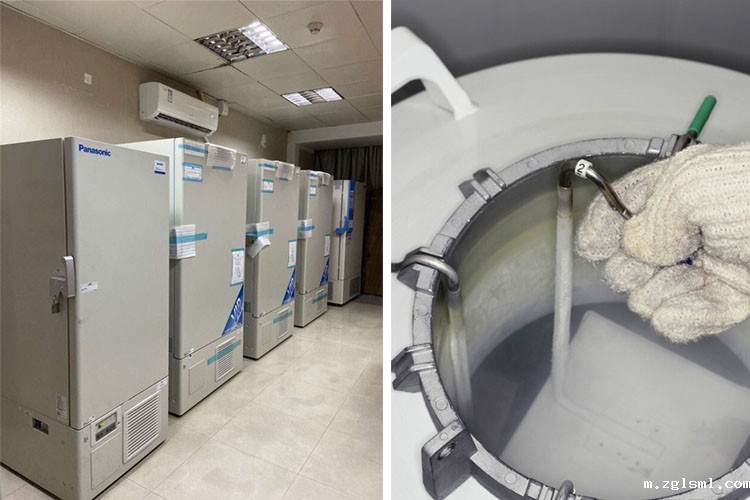 低温冰箱与液氮罐