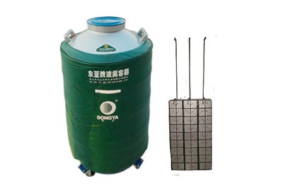 东亚大口径型液氮罐YDS-80-200F规格参数、低温容器报价