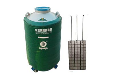 东亚大口径型液氮罐YDS-80-200F规格参数、低温容器报价